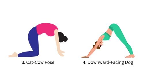 Cat-Cow Pose and Downward-Facing Dog