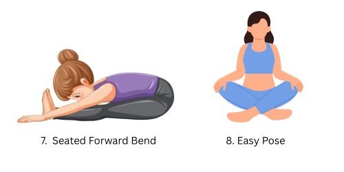 Seated Forward Bend and Easy Pose